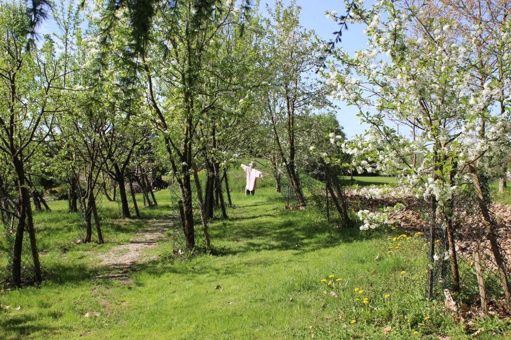 Дома для отпуска Dom nad jeziorem Świętajno